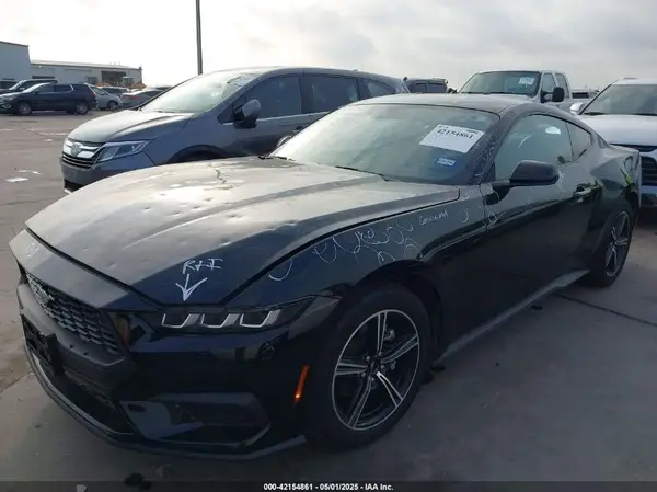 1FA6P8TH0R5136513 2024 FORD MUSTANG - Image 2