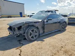 1FA6P8TH0R5143154 2024 FORD MUSTANG