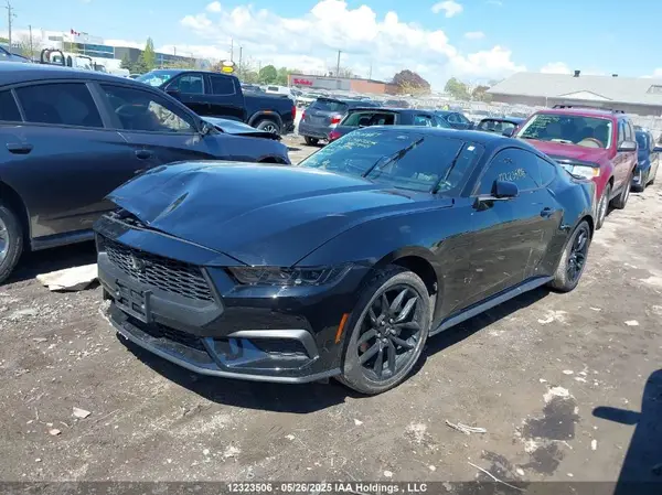1FA6P8TH0R5143574 2024 FORD MUSTANG - Image 2