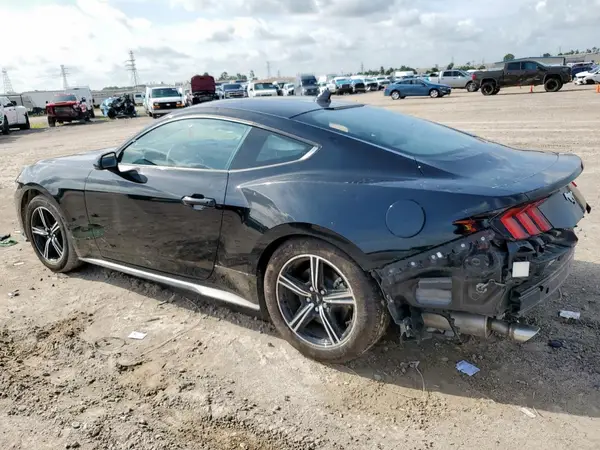 1FA6P8TH0R5143705 2024 FORD MUSTANG - Image 2