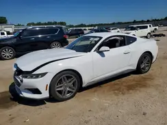 1FA6P8TH0R5146524 2024 FORD MUSTANG