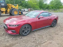 1FA6P8TH0S5101234 2025 FORD MUSTANG