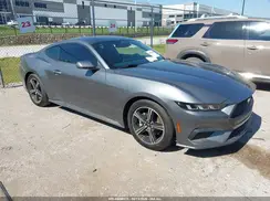 1FA6P8TH0S5101556 2025 FORD MUSTANG