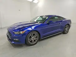 1FA6P8TH1G5236438 2016 FORD MUSTANG