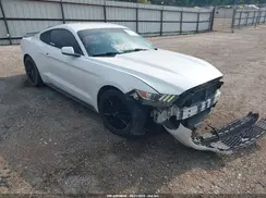 1FA6P8TH1G5281444 2016 FORD MUSTANG