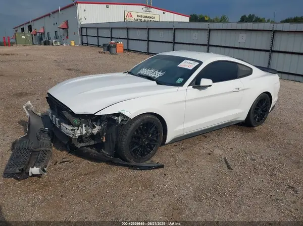 1FA6P8TH1G5281444 2016 FORD MUSTANG - Image 2