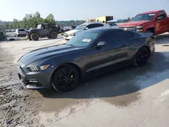 1FA6P8TH1H5227000 2017 FORD MUSTANG