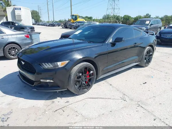 1FA6P8TH1H5255881 2017 FORD MUSTANG - Image 2