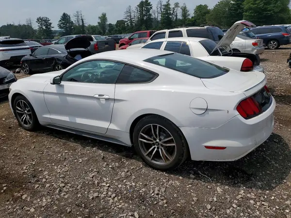 1FA6P8TH1H5256223 2017 FORD MUSTANG - Image 2
