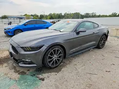 1FA6P8TH1H5256996 2017 FORD MUSTANG