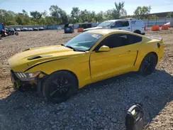 1FA6P8TH1H5303573 2017 FORD MUSTANG