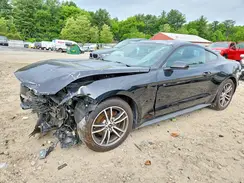 1FA6P8TH1H5305937 2017 FORD MUSTANG