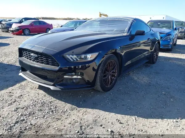 1FA6P8TH1H5311026 2017 FORD MUSTANG - Image 2