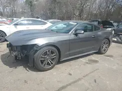 1FA6P8TH1H5315769 2017 FORD MUSTANG