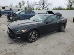 1FA6P8TH1H5323337 2017 FORD MUSTANG