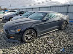 1FA6P8TH1H5345516 2017 FORD MUSTANG
