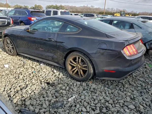 1FA6P8TH1H5345516 2017 FORD MUSTANG - Image 2
