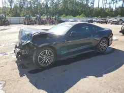 1FA6P8TH1H5358556 2017 FORD MUSTANG