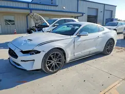 1FA6P8TH1J5116923 2018 FORD MUSTANG