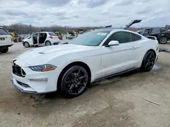 1FA6P8TH1J5162008 2018 FORD MUSTANG