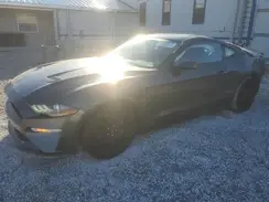 1FA6P8TH1J5178337 2018 FORD MUSTANG