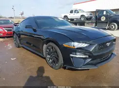 1FA6P8TH1K5102313 2019 FORD MUSTANG