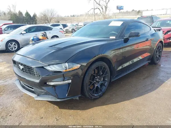 1FA6P8TH1K5102313 2019 FORD MUSTANG - Image 2