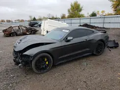 1FA6P8TH1K5102831 2019 FORD MUSTANG