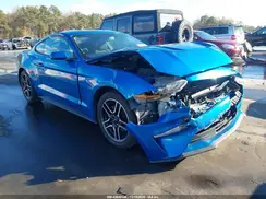 1FA6P8TH1K5105566 2019 FORD MUSTANG