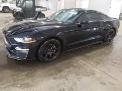1FA6P8TH1K5112761 2019 FORD MUSTANG