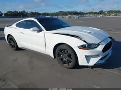 1FA6P8TH1K5114770 2019 FORD MUSTANG