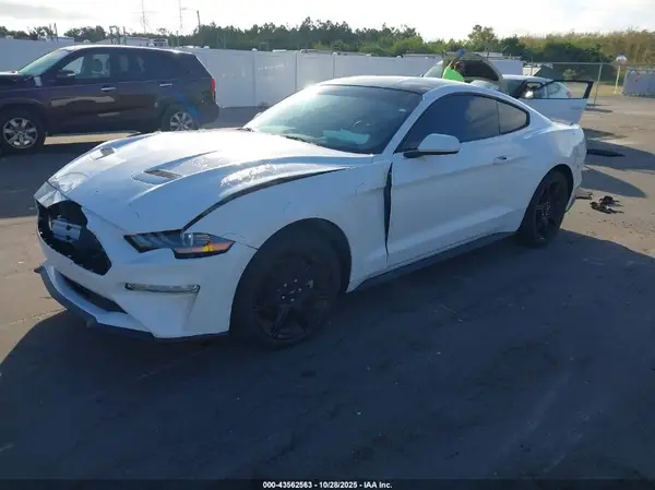 1FA6P8TH1K5114770 2019 FORD MUSTANG - Image 2