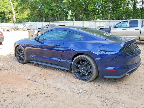 1FA6P8TH1K5117636 2019 FORD MUSTANG - Image 2