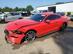 1FA6P8TH1K5117961 2019 FORD MUSTANG