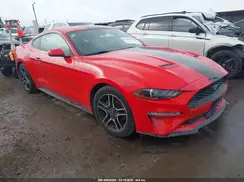 1FA6P8TH1K5119581 2019 FORD MUSTANG
