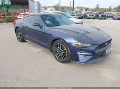 1FA6P8TH1K5125137 2019 FORD MUSTANG