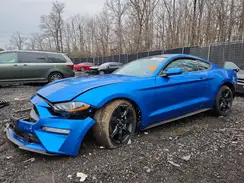 1FA6P8TH1K5133416 2019 FORD MUSTANG