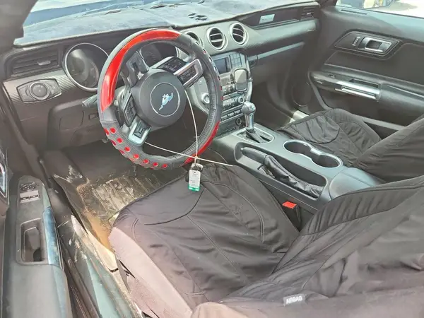 1FA6P8TH1K5134372 2019 FORD MUSTANG - Image 8