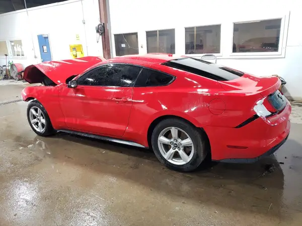 1FA6P8TH1K5134873 2019 FORD MUSTANG - Image 2