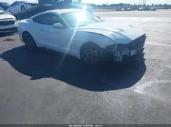 1FA6P8TH1K5141502 2019 FORD MUSTANG