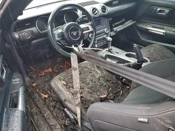 1FA6P8TH1K5141595 2019 FORD MUSTANG - Image 8