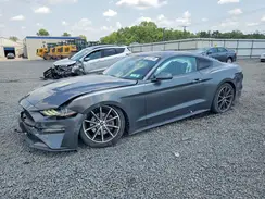 1FA6P8TH1K5146506 2019 FORD MUSTANG