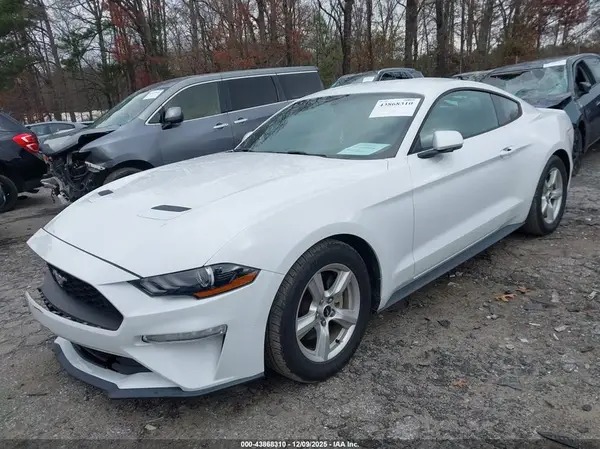 1FA6P8TH1K5146781 2019 FORD MUSTANG - Image 2