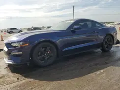 1FA6P8TH1K5146831 2019 FORD MUSTANG