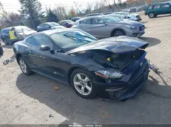 1FA6P8TH1K5147204 2019 FORD MUSTANG