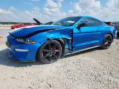 1FA6P8TH1K5156906 2019 FORD MUSTANG