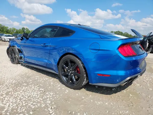 1FA6P8TH1K5156906 2019 FORD MUSTANG - Image 2