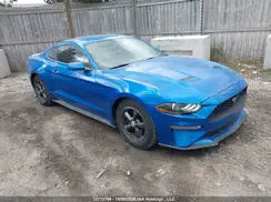 1FA6P8TH1K5160051 2019 FORD MUSTANG