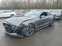 1FA6P8TH1K5161006 2019 FORD MUSTANG