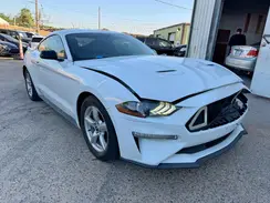 1FA6P8TH1K516216 2019 FORD MUSTANG